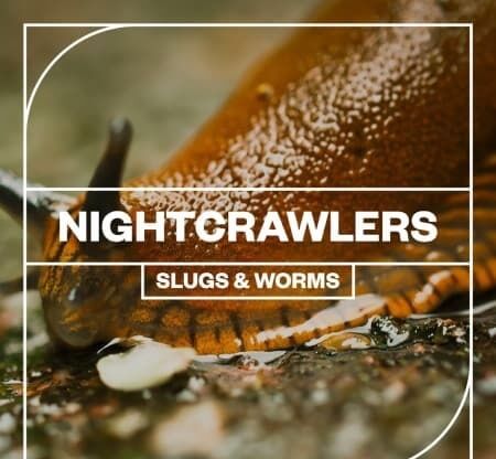 Blastwave FX Nightcrawlers: Slugs and Worms WAV